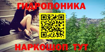 круглые Кингисепп