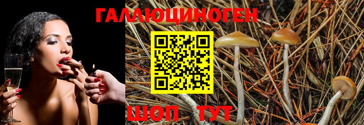Галлюциногенные грибы мухоморы Чусовой