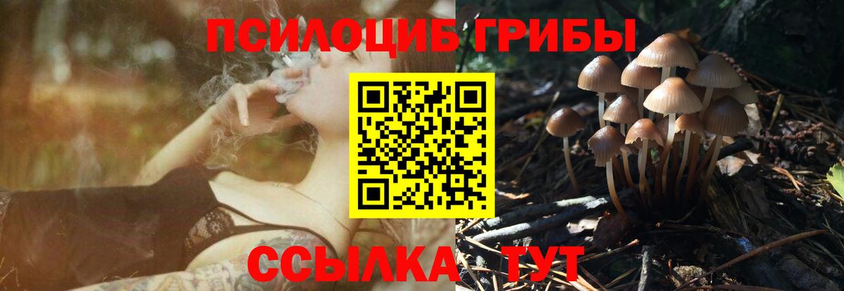 Галлюциногенные грибы Psilocybe  Вход с VPN  Чусовой 